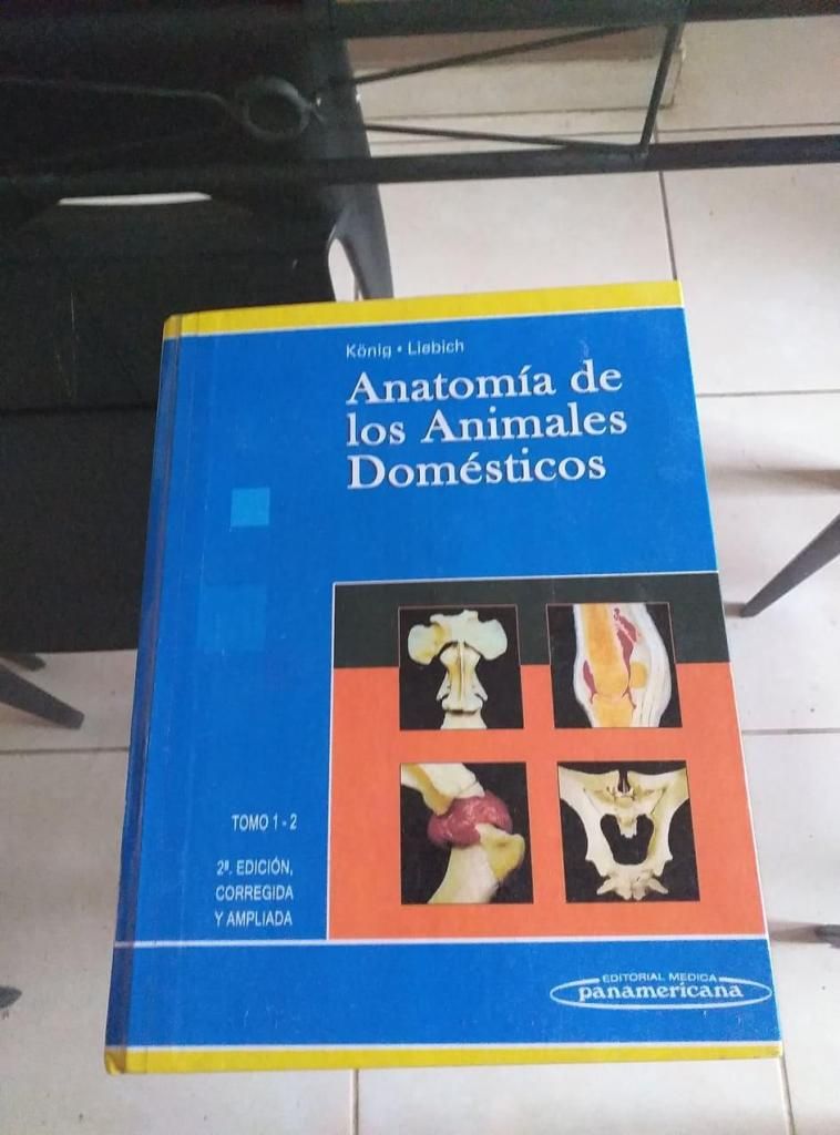 Libro Anatomía Veterinaria
