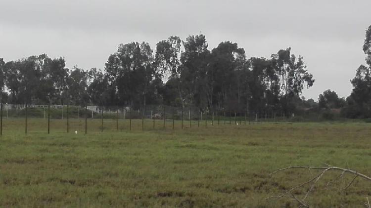 Terreno en Mala Cañete