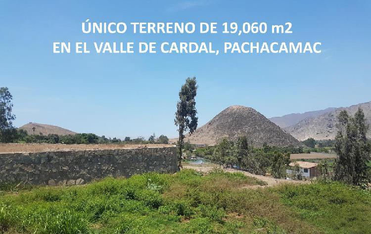 Excelente Terreno en Pachacamac (Valle de Cardal)