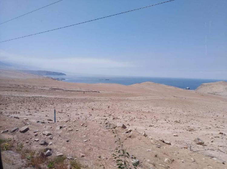 Peru Cañete Vendo 100has Oril Playa $30,000,000