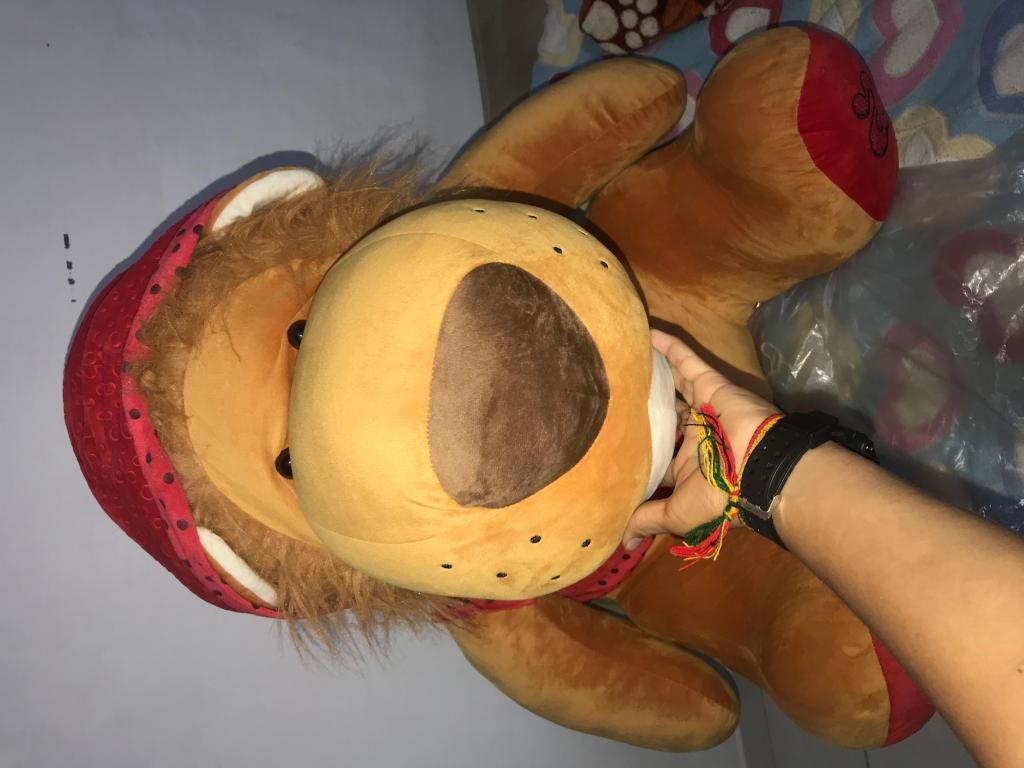 Vendo peluche grande