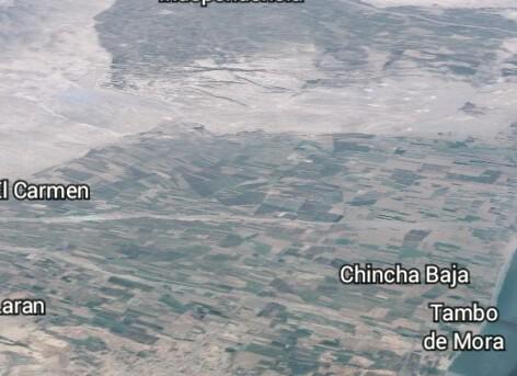 Terreno agrícola chincha en Chincha Alta