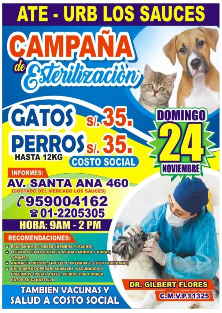 Campaña de Esterilización Perros Y Gatos