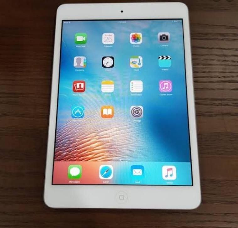 iPad mini con chip