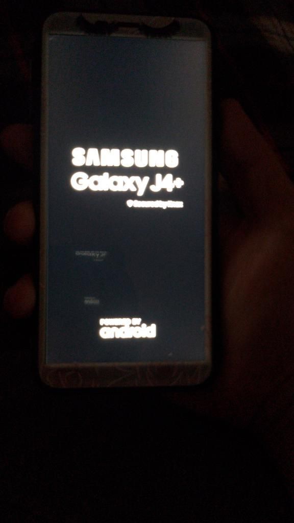 Samsung Galaxy J4 Plus Solo Equipo Libre