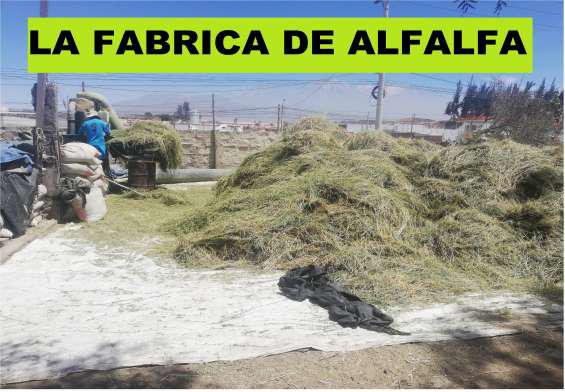 La fabrica de alfalfa en Arequipa