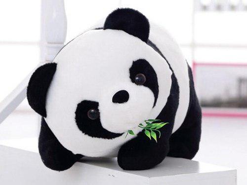 Peluche Oso Panda Bamboo 15cm A 50cm + Bolsa Regalo