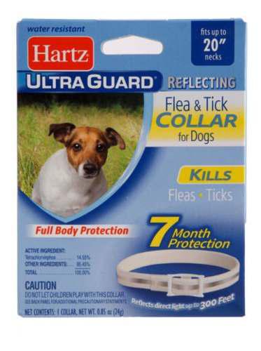 Collar Hartz Reflectivo Para Cachorro Y Adulto Perro Usa 7me