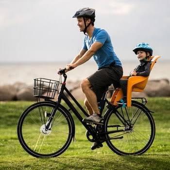 Thule Silla Bicicleta Para Bebe