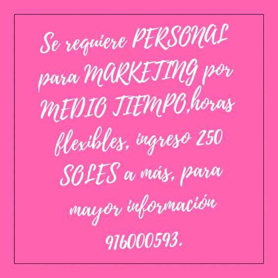 C/s experiencia marketing en Chiclayo