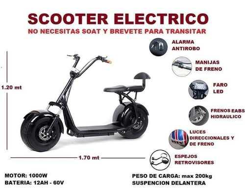 Motos Scooters Eléctricos 100% Ecológico Citycoco