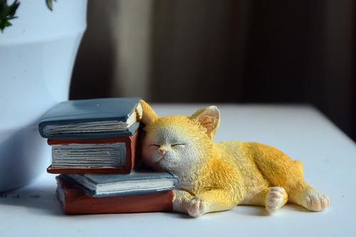 Figura De Gato Durmiendo Sobre Libros
