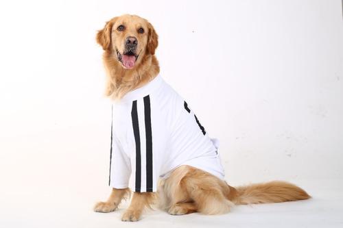 Camiseta Deportiva Con Cremallera Para Perros