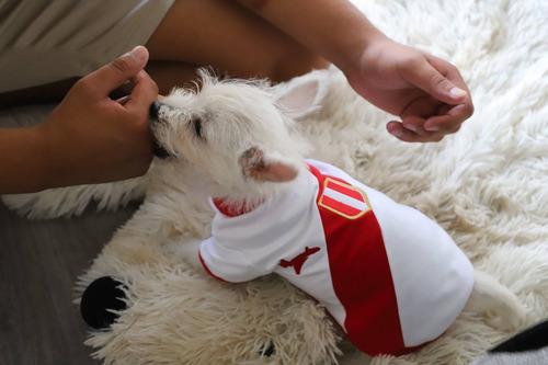 Camiseta Perú Para Perro - Ropa Para Perro Troop Dog