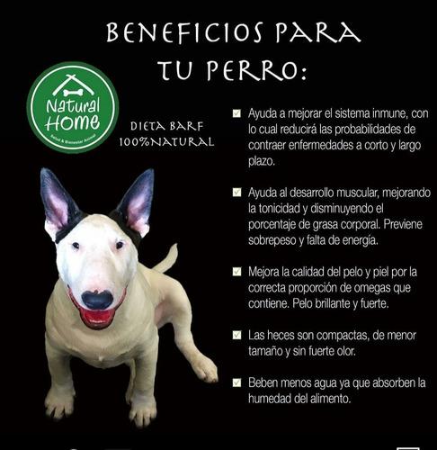 Dieta B.a.r.f De Natural Home Alimento Natural Para Perros