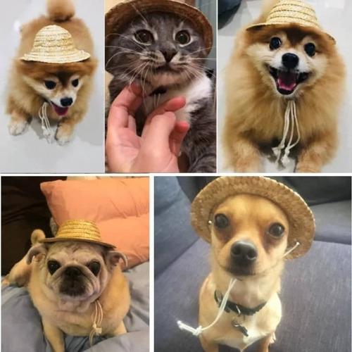 Sombreros Para Mascotas