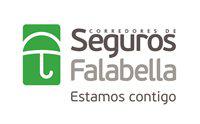 Ejecutivo de Ventas CMR y Banco Falabella Chile
