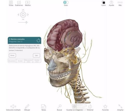 Atlas Anatomia Humana Programa 3d En Español