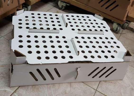 Venta de cajas blancas para pollo bb en Lima