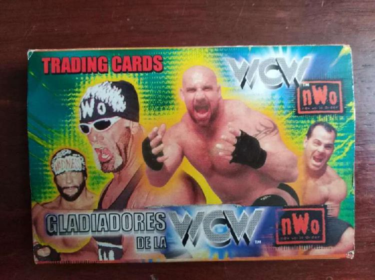 Card's WCW de los años 90's