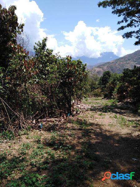 Venta terreno Quillabamba