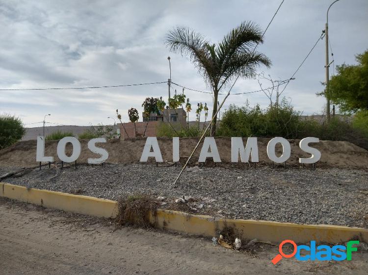 En venta terrenos en Urbanización Los Álamos - Tacna