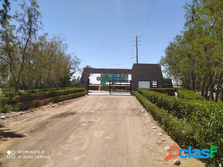 vendo terreno en la Joya San Isidro de 1,000m2 saneado