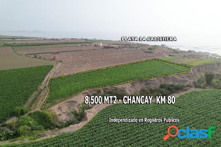 Terreno Agrícola de 8,500 M2 en Chancay