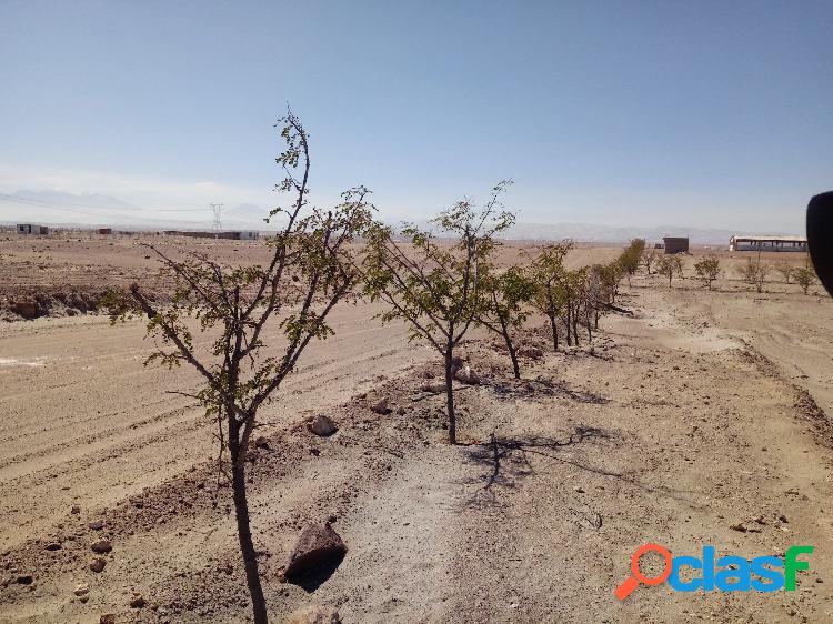 EN VENTA TERRENOS EN LA JOYA
