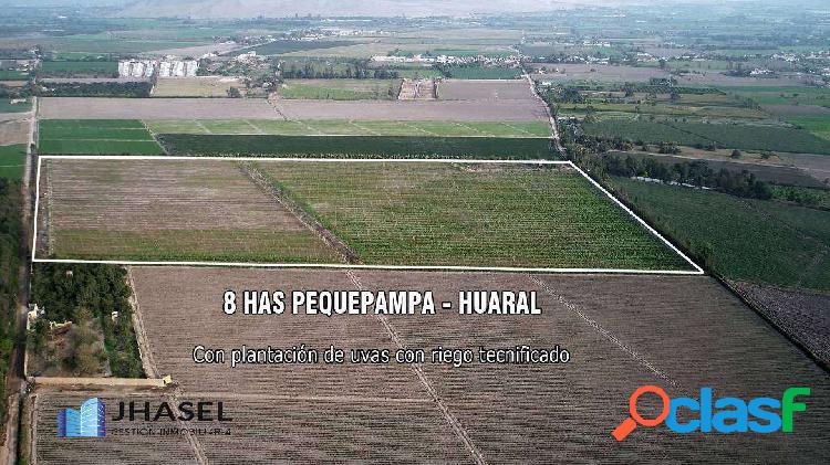 VENTA DE TERRENO AGRICOLA DE 82,000 MT2 EN HUARAL