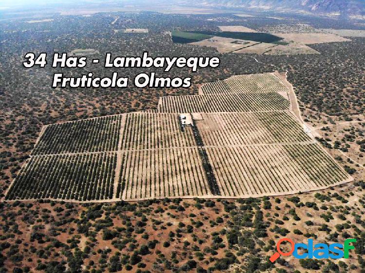Terreno agricola en venta de 34 Has en OLMOS lambayeque