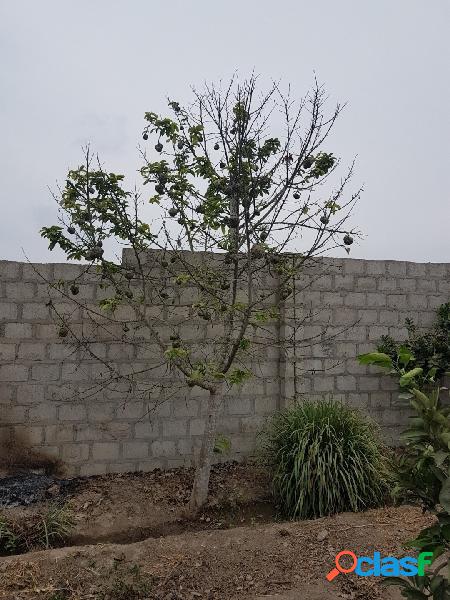 VENTA DE TERRENO EN HUARAL - CASERÍO RETES NATURALES