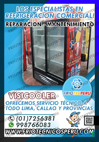 MANTENIMIENTO Y REPARACION 7590161 DE VISICOOLER