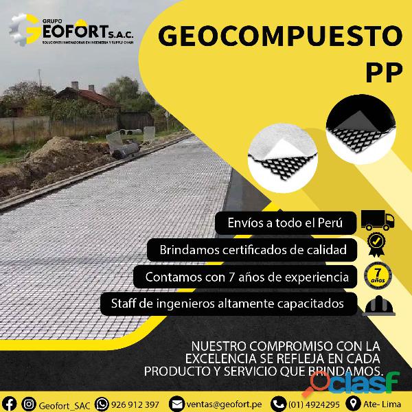 GEOCOMPUESTO PP